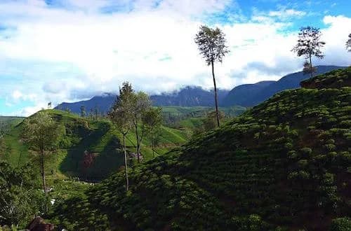 Godzina na Sri Lance - Aktualna strefa czasowa i czas lokalny