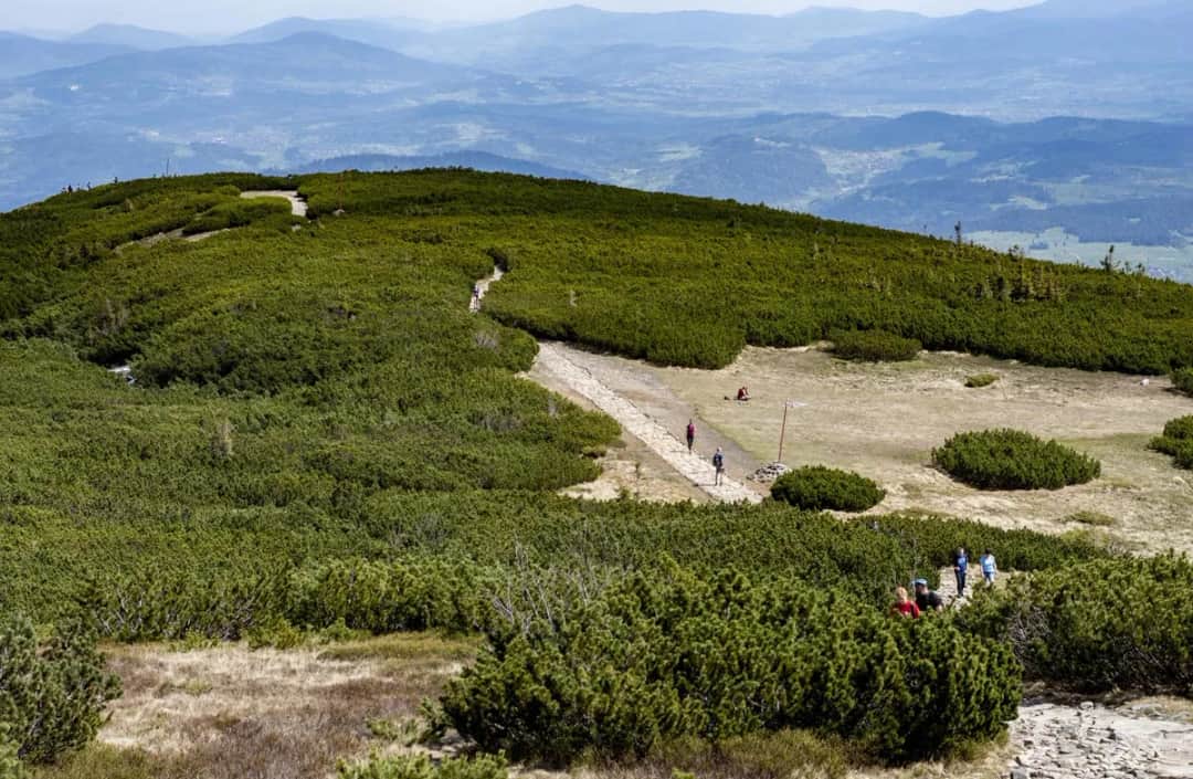 Jak zdobyć Babią Górę bez wysiłku? Dobra trasa dla początkujących