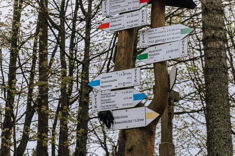 Zdobądź szczyt Jagodnej! Oto najlepsze szlaki dla początkujących