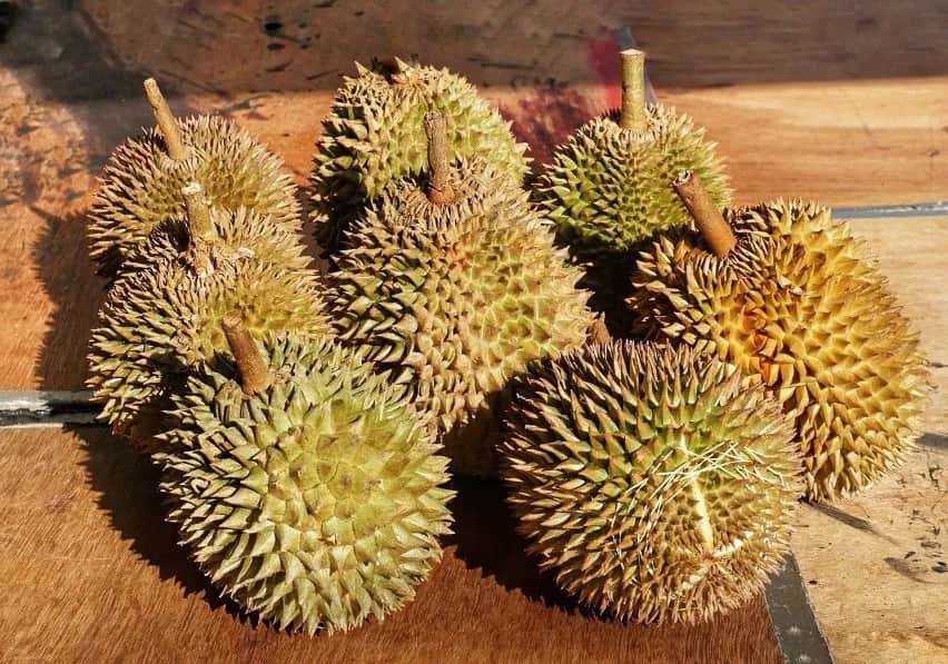 Azjatycki owoc: Durian i inne owoce azjatyckie