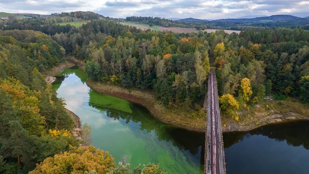 Jelenia Góra i 9 niezwykłych atrakcji. Co zwiedzić? Co zaskoczy?