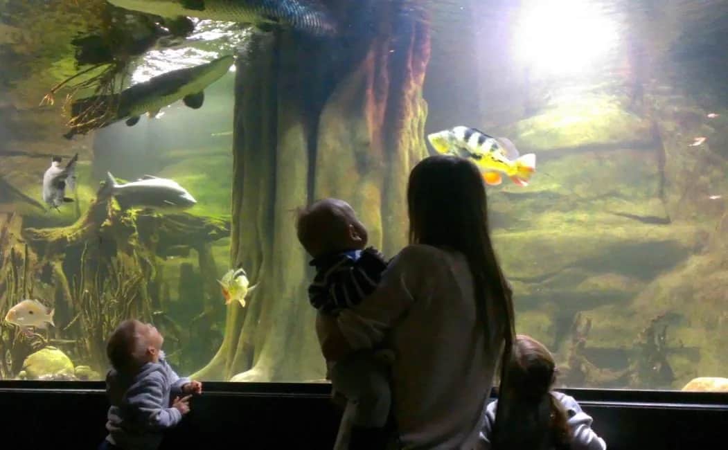 Jednodniowe wycieczki: 7 pomysłów na niezapomniany weekend