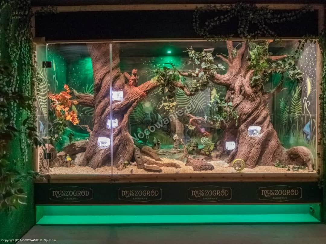 Ile kosztuje wstęp do Myszogrodu w sercu Zakopanego? Oto cennik