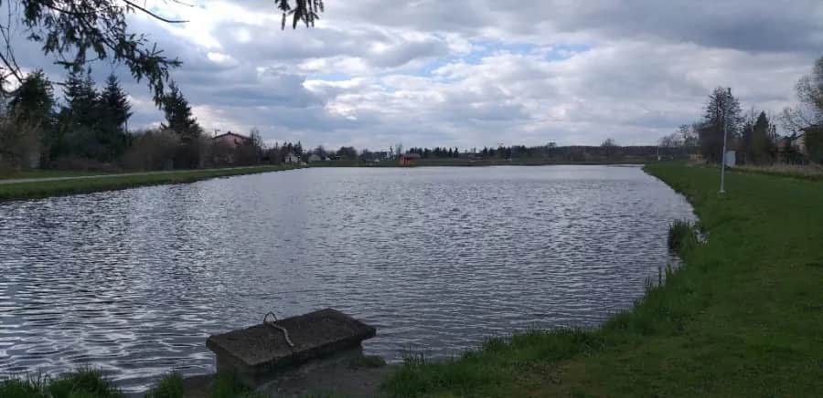 Czy łowisko w Moszczance to prawdziwy raj pasjonatów wędkarstwa? Czy łowisko w Moszczance to prawdziwy raj pasjonatów wędkarstwa?