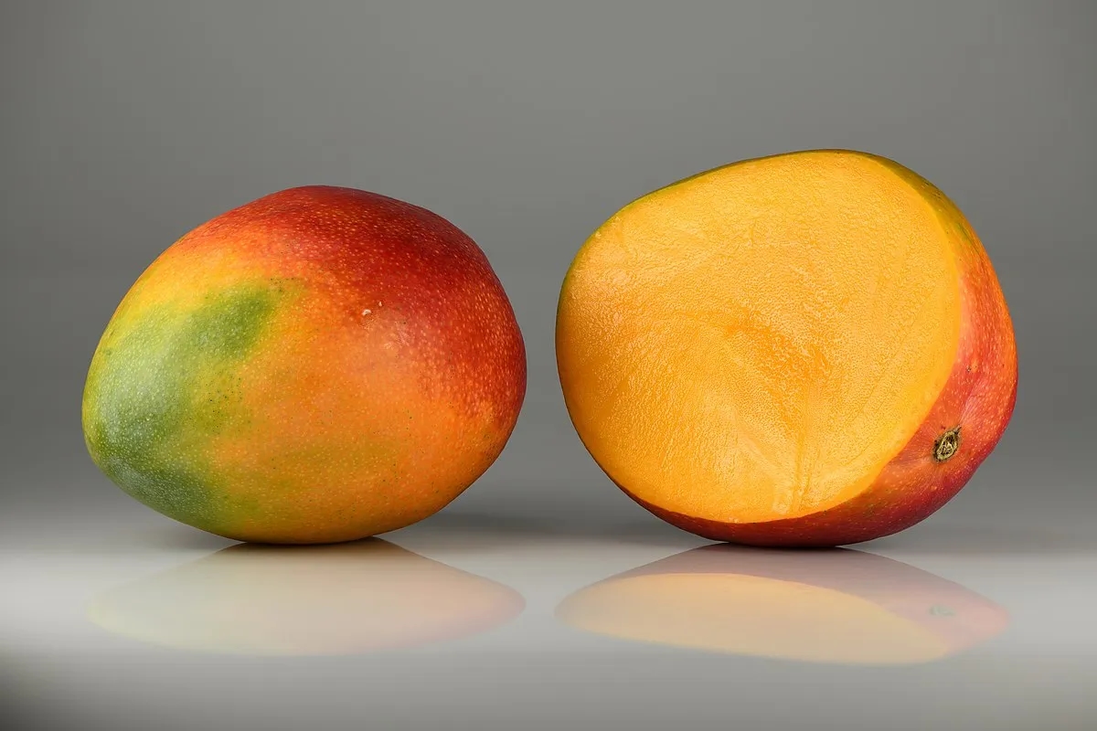 Poznaj wszystkie miejsca gdzie rośnie mango - lista najpopularniejszych regionów
