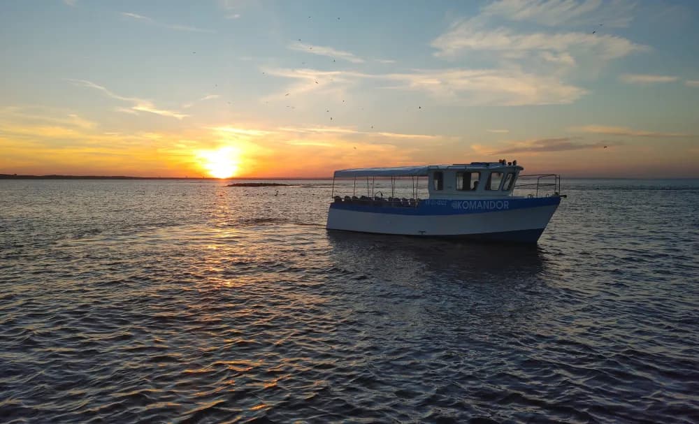 Czy warto wybrać się na rejs z Mikoszewa? Uroki Wisły z pokładu!