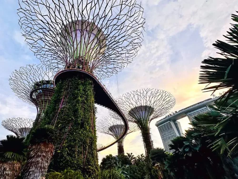 Czemu te 7 atrakcji Singapuru przyciąga miliony turystów? Odkryjmy