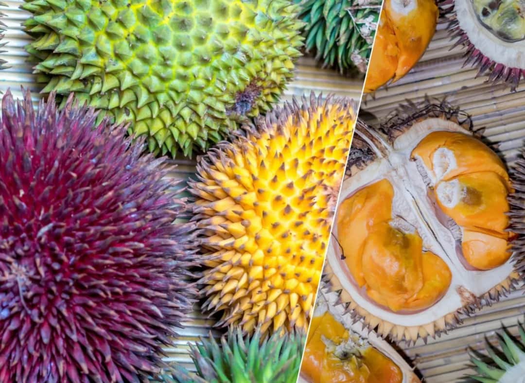 Durian owoc - sklep z egzotycznym owocem